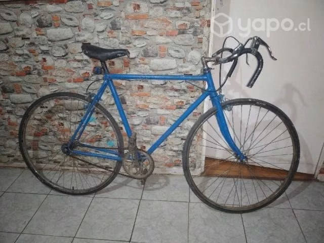 Bicicletas pisteras
