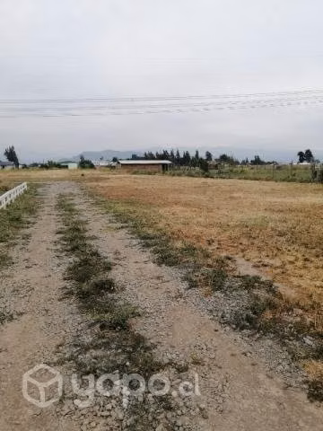 Terreno - Imagen 3