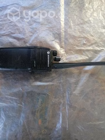 Lote de radios y accesorios Motorola