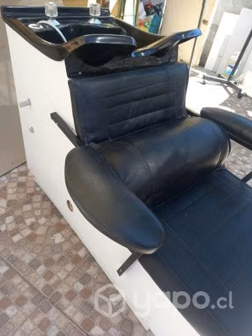 Lavapelo en excelentes condiciones