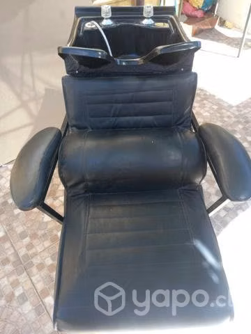 Lavapelo en excelentes condiciones