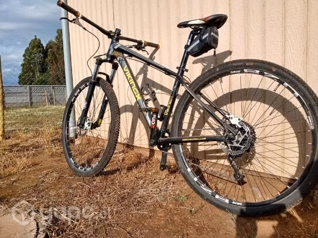 Bicicleta Vikingx