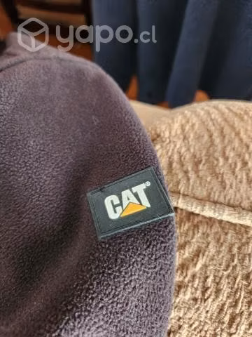 Polar cat - Imagen 5