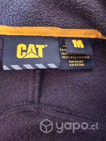Polar cat - Imagen 6