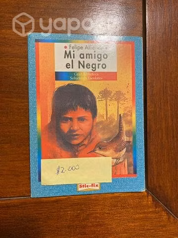 Mi amigo el Negro