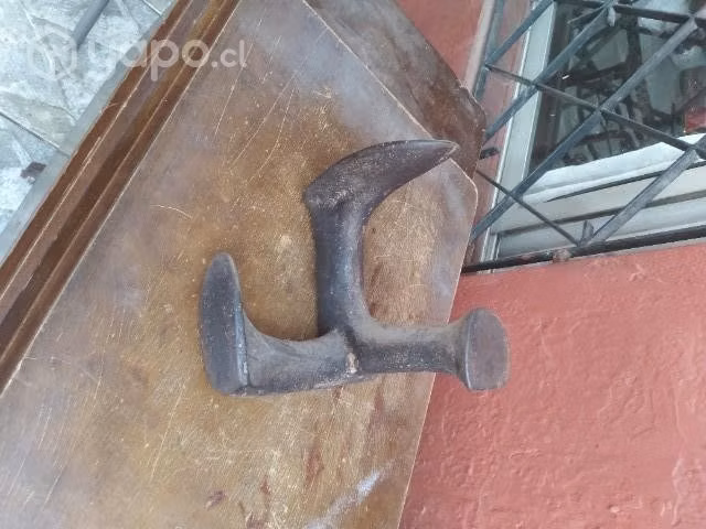 Pata de Zapatero. - Imagen 5