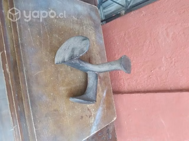 Pata de Zapatero. - Imagen 4