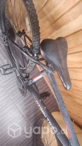 Bicicleta Ozark trall