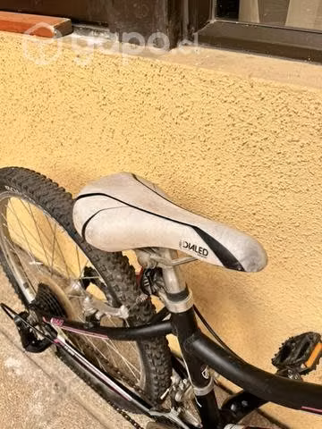 Trek 220 mt
