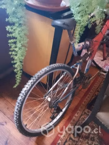 Bicicleta Oxford