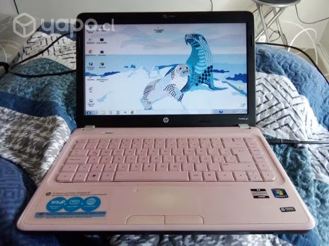 Notebook hp concepcion