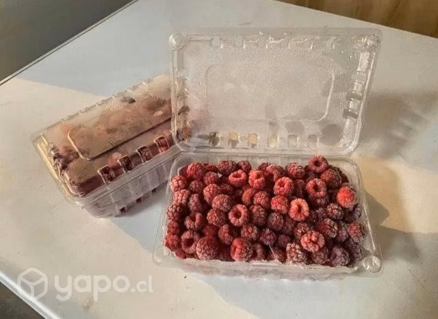 Frambuesas Congeladas