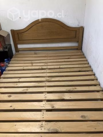 Cama