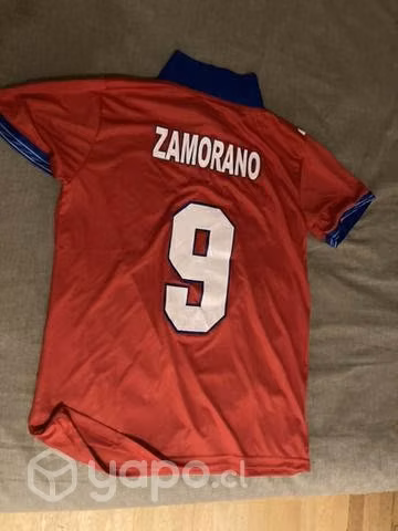 Polera Zamorano