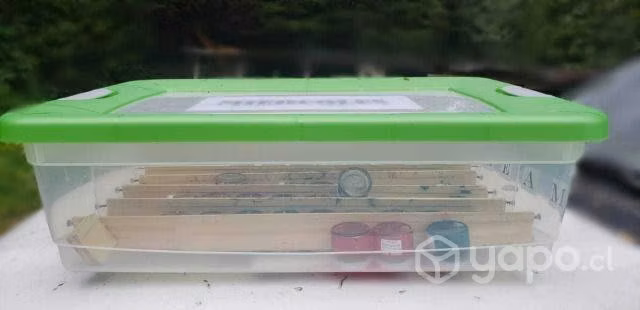 7 Cajas plásticas usos múltiples