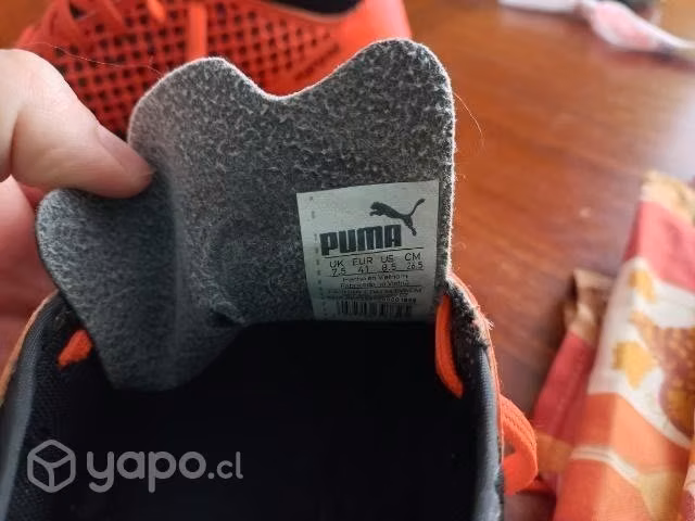 Zapatos de Futbol Puma Originales
