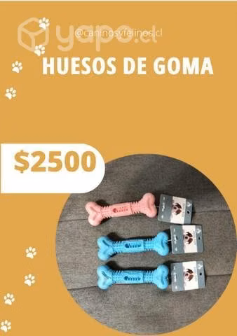 Artículos para sacar a pasear a tu mascota