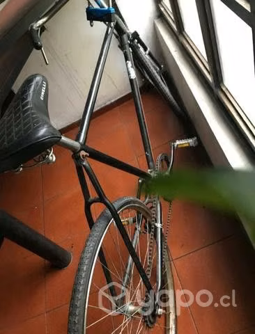 Bici de los años 50 - Imagen 4