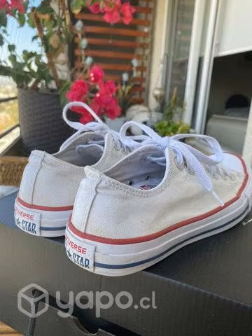 Zapatillas Converse - Imagen 3