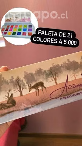 Paletas de maquillaje