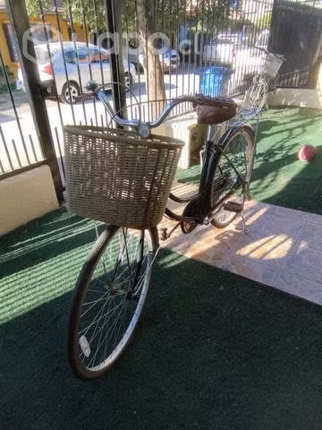 Bicicleta de paseo