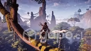 Horizon Zero down