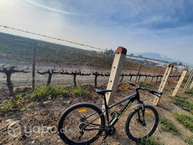 Bicicleta bianchi aro 29