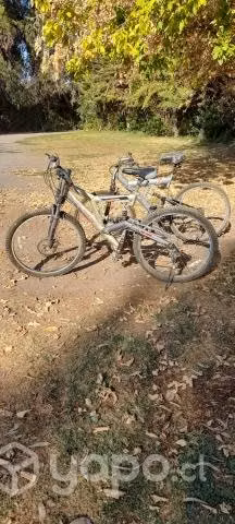 Bicicletas