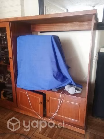 Mueble hermoso para televisión y música