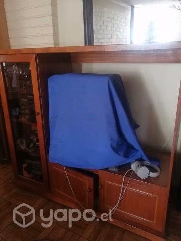 Mueble hermoso para televisión y música