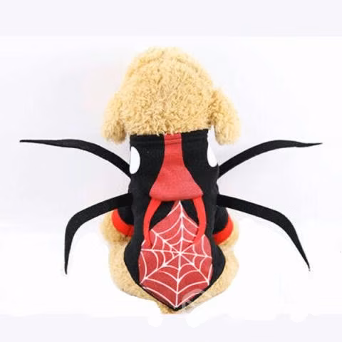 Traje Mascotas Araña Disfraz