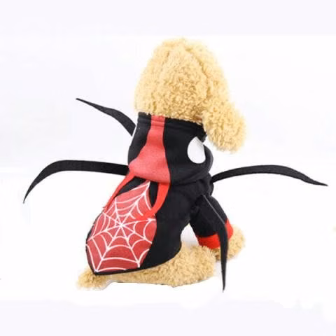 Traje Mascotas Araña Disfraz