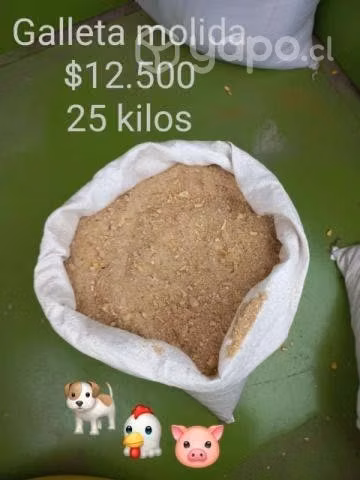 Alimento para perros, gatos, aves y caballos.