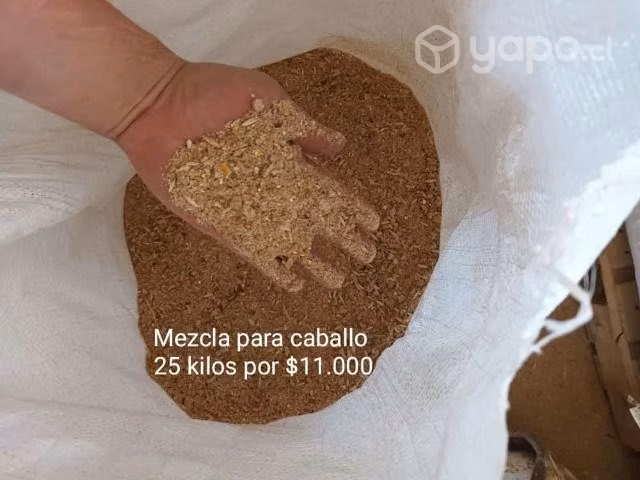 Alimento para perros, gatos, aves y caballos.