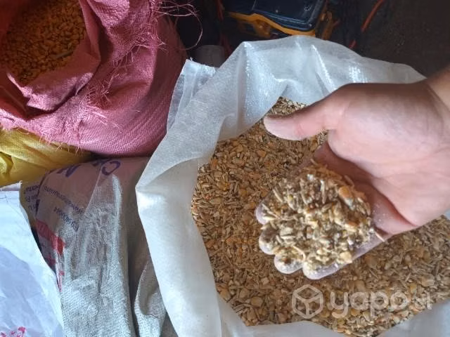 Alimento para perros, gatos, aves y caballos.