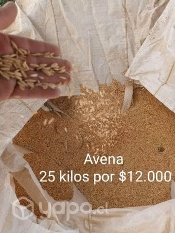 Alimento para perros, gatos, aves y caballos.