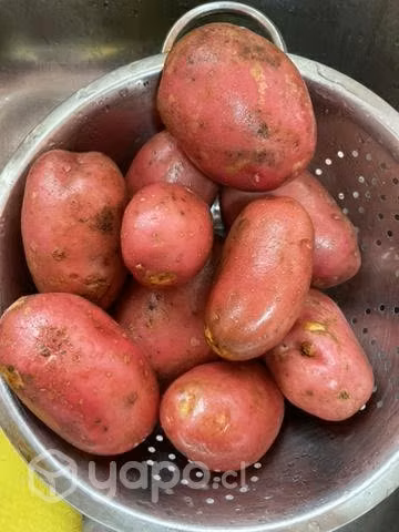 Papas NUEVAS!!!!!