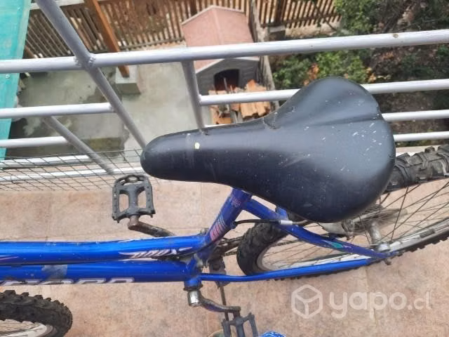 Bicicleta oxford con detalles