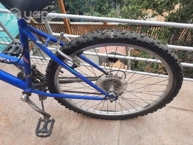 Bicicleta oxford con detalles