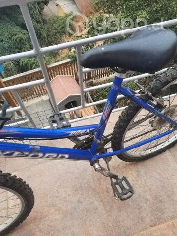 Bicicleta oxford con detalles