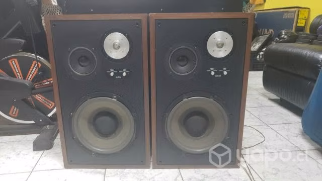Parlantes DIATONE AÑOS 80