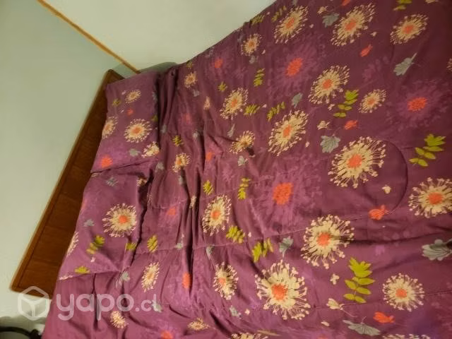 Cama