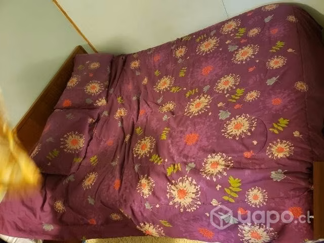 Cama