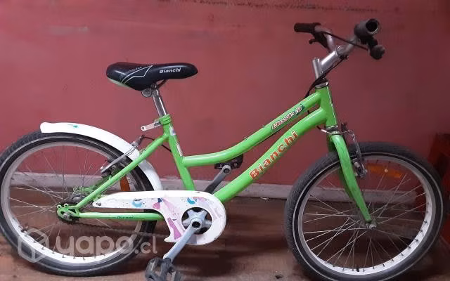 Bicicleta bianchi aro 23