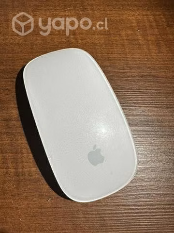 Magic mouse 1 apple