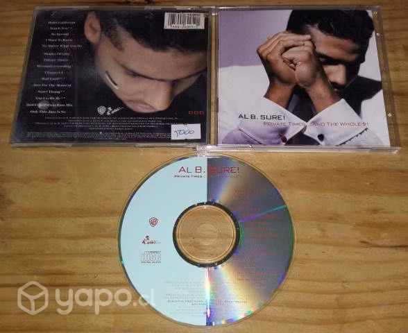 Al B. Sure - Private Times. And The Whole 9 "19