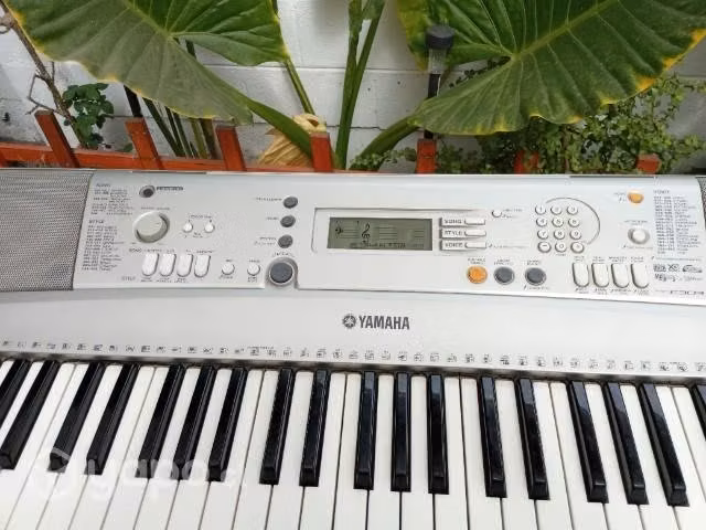 Teclado - Imagen 4