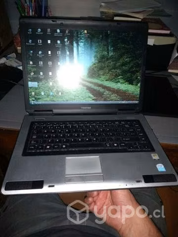 Notebook Toshiba Satellite L45-sp2056, buen estado