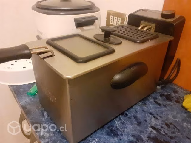 Freidora electrica 3 lt
