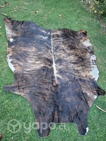 Alfombra